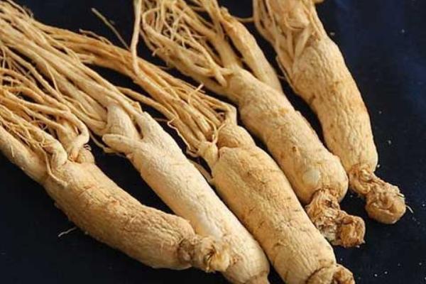 西洋參和丹參的區(qū)別是什么 西洋參和丹參哪個好