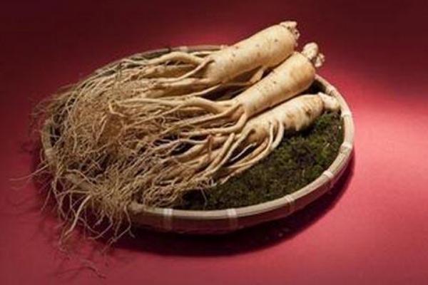 元參桔梗湯功效與作用 桔梗元參湯治療鼻炎嗎