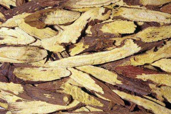 甘草的功效與作用及禁忌 甘草的產(chǎn)地分布