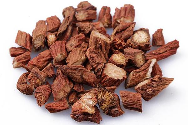 紫丹參功效與作用 紫丹參和丹參的區別是什么