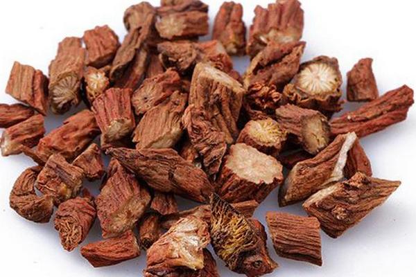 丹參市場價格多少錢一斤 丹參的功效