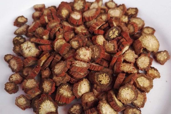 丹參種苗價格多少錢一棵 丹參種植技術(shù)