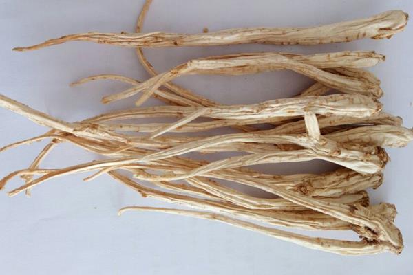 桔梗圖片大全 桔梗怎么吃