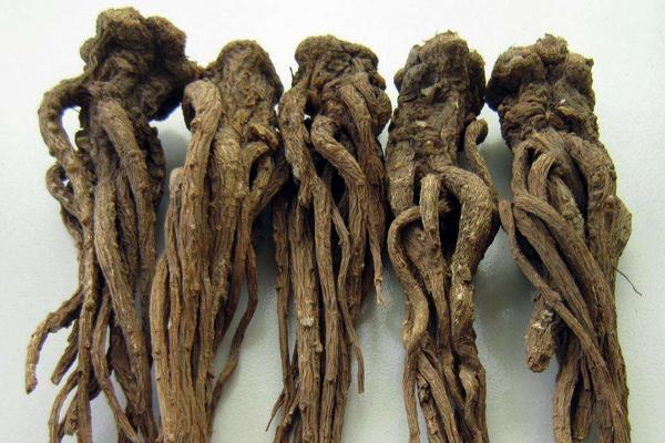 當歸四逆湯的功效與作用 當歸四逆湯做法方歌