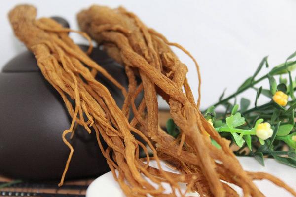 當(dāng)歸圖片大全 當(dāng)歸長(zhǎng)什么樣