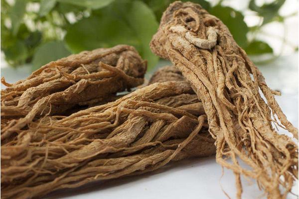 當歸圖片大全 當歸長什么樣