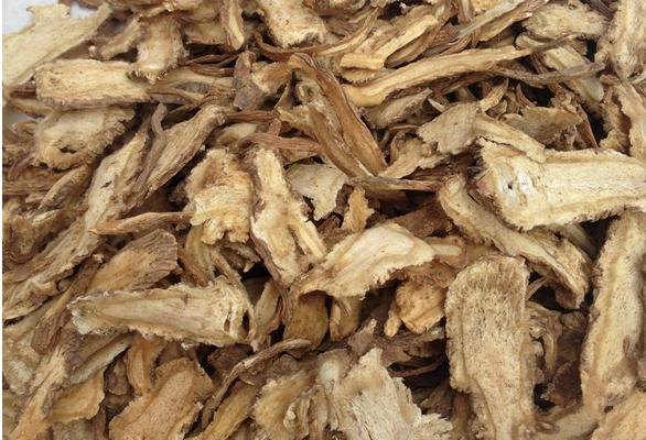 當歸圖片大全 當歸長什么樣