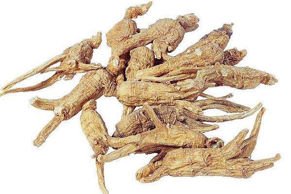 當歸圖片大全 當歸長什么樣