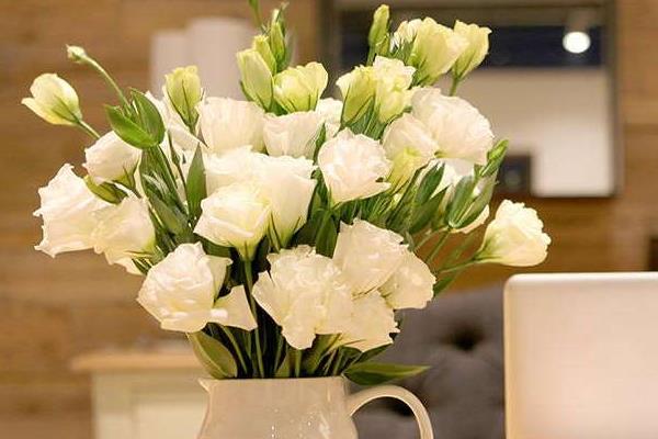 洋桔梗可以放臥室嗎 洋桔梗可以養(yǎng)幾年