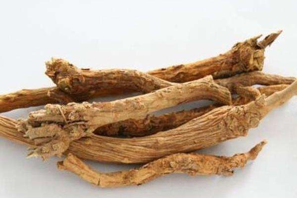 黃芩的功效與作用及禁忌 黃芩的炮制方法