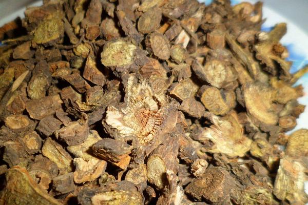 黃芩的功效與作用及禁忌 黃芩的炮制方法