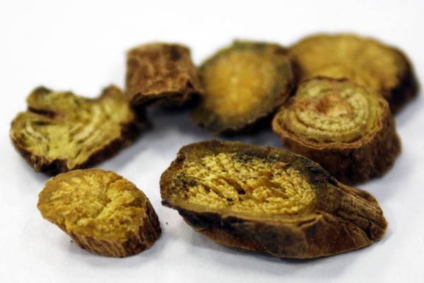 黃芩的功效與作用及禁忌 黃芩的炮制方法