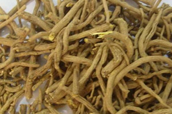 黃芩圖片大全 中藥黃芩簡介