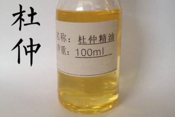 杜仲精油的功效與作用 杜仲精油的使用方法