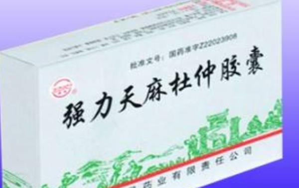 天麻杜仲丸的功效與作用 天麻杜仲丸的說明書