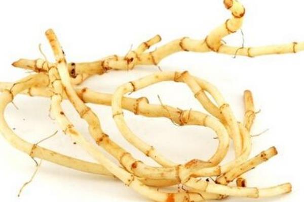 魚腥草過敏癥狀 魚腥草什么人不能吃