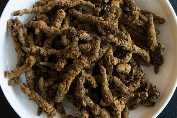 黃連能降糖嗎 黃連的功效和作用