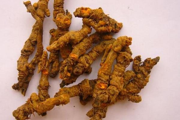 黃連能降糖嗎 黃連的功效和作用