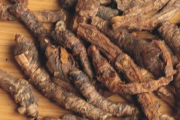 黃連能降糖嗎 黃連的功效和作用