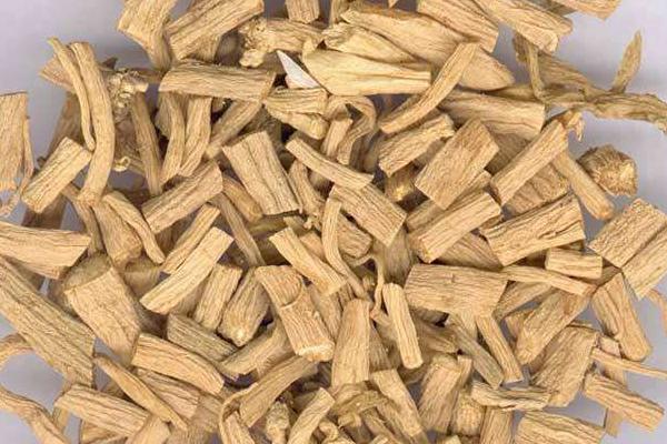 銀柴胡和柴胡的區別是什么  銀柴胡的功效和作用