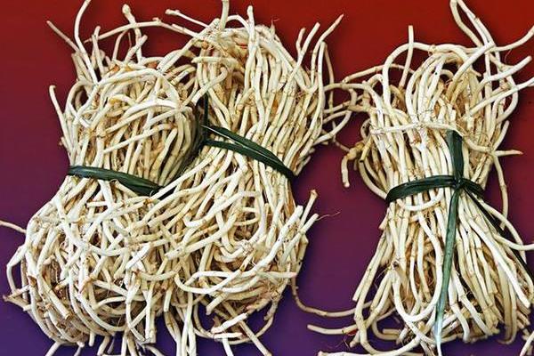 折耳根是不是魚腥草 魚腥草又叫什么