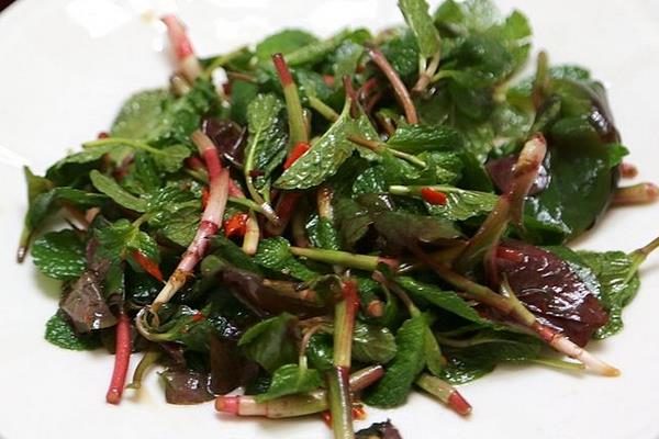 折耳根是不是魚腥草 魚腥草又叫什么