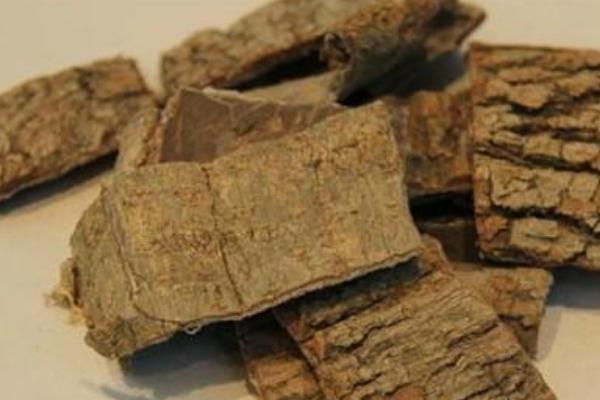 杜仲怎么吃效果最好  杜仲藥膳的做法