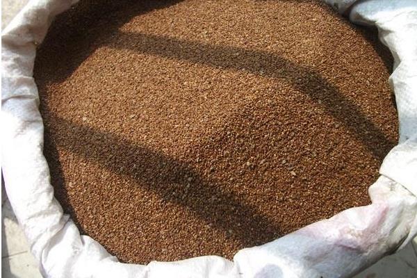 苦參種子市場(chǎng)價(jià)格多少錢一斤 苦參種子的生長(zhǎng)習(xí)性