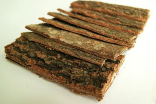 杜仲皮的作用與功效及禁忌 杜仲的挑選方法