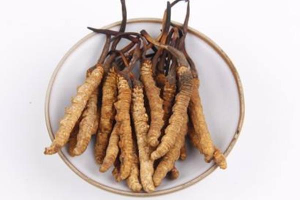 冬蟲夏草保質期多久 蟲草怎么保存