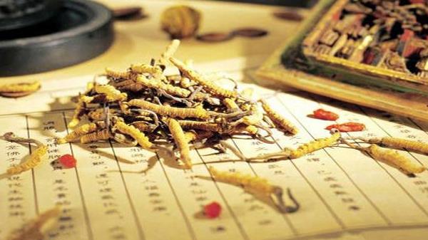冬蟲夏草什么時候吃最好 冬蟲夏草有什么作用