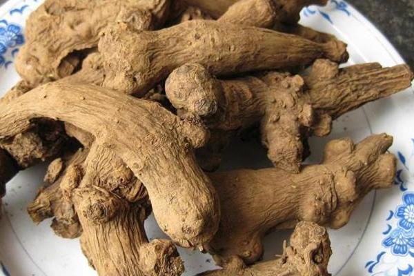 白術產地在哪里  白術的功效和作用