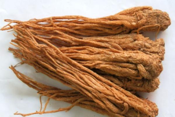 全當歸和當歸的區別是什么 全當歸的功效與作用