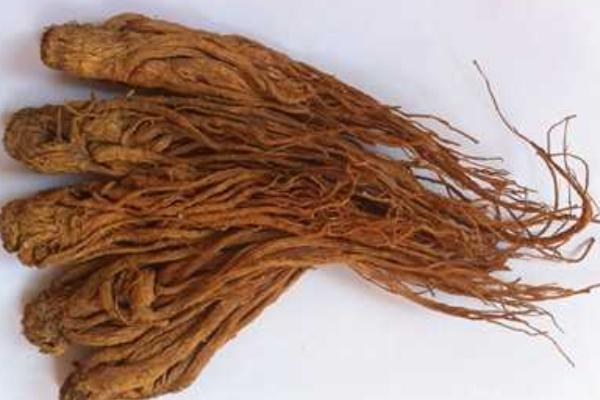 全當歸和當歸的區別是什么 全當歸的功效與作用