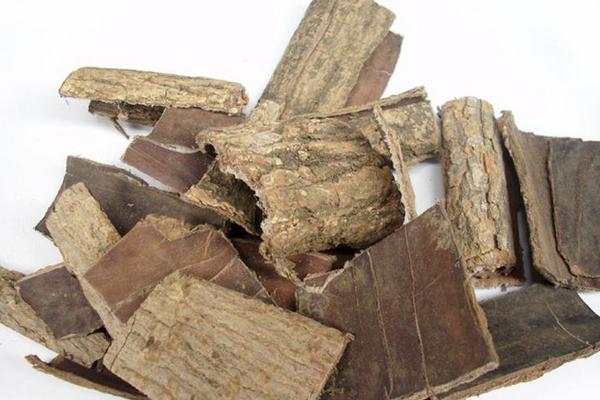 杜仲上火嗎 杜仲怎么用