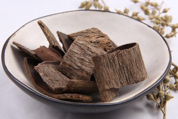 杜仲種植技術 杜仲種植時間及方法