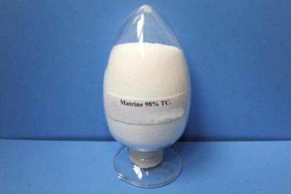 苦參堿的功效與作用 苦參堿栓多少錢一盒