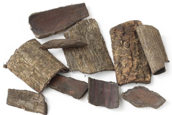 鹽杜仲和杜仲的區別是什么 杜仲的作用與功效