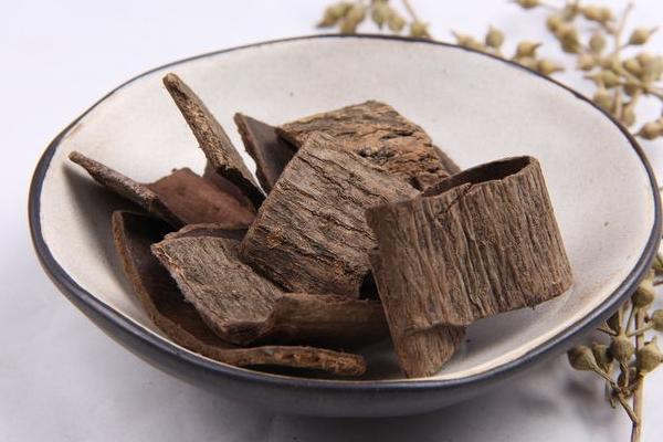 鹽杜仲和杜仲的區別是什么 杜仲的作用與功效