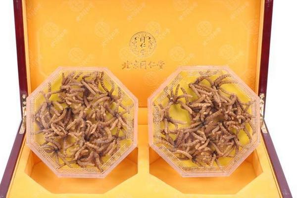 經營冬蟲夏草需要辦理什么證 冬蟲夏草多少錢一斤