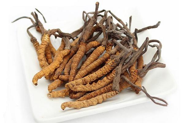 經營冬蟲夏草需要辦理什么證 冬蟲夏草多少錢一斤