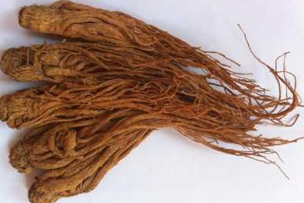 全當歸的功效與作用 全當歸的食用禁忌