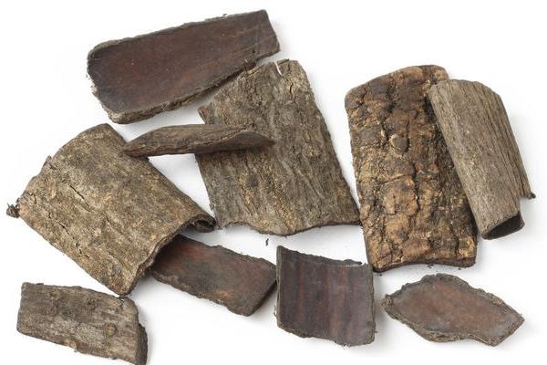 杜仲皮市場價格多少錢一斤 杜仲皮怎么吃