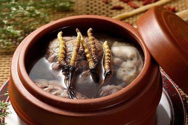 冬蟲夏草燉瘦肉的功效與作用及做法 冬蟲夏草燉肉的禁忌