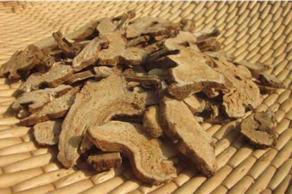 白術有什么用途 白術藥用配方