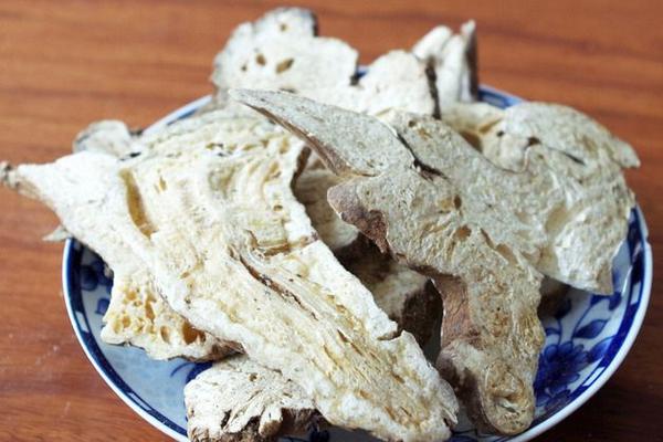 白術有什么用途 白術藥用配方