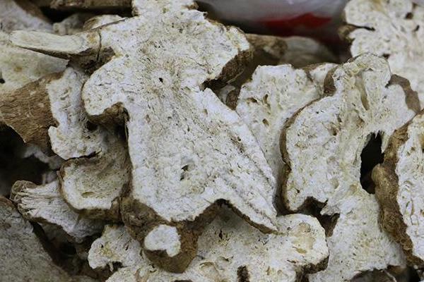 白術有什么用途 白術藥用配方