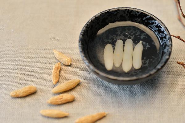 麥冬圖片大全 什么是麥冬