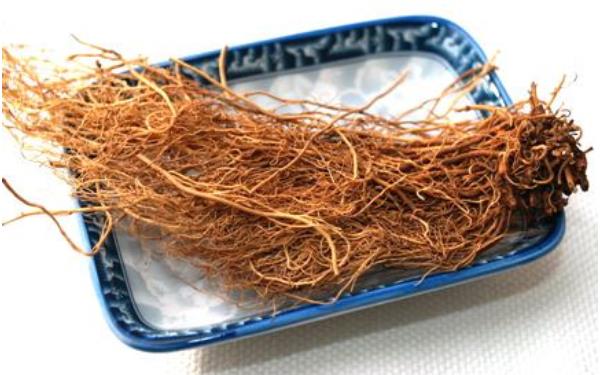 細辛市場價格多少錢一斤 細辛的移栽種植法