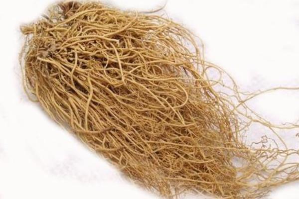 北細辛的功效與作用及禁忌 北細辛和南細辛的區(qū)別